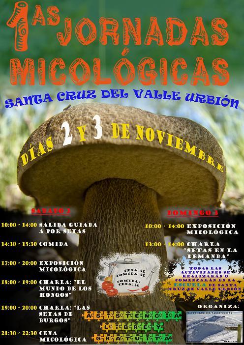 Primeras Jornadas Micológicas; Dias 2 y 3 de Noviembre 2013, en Santa cruz del valle Urbion